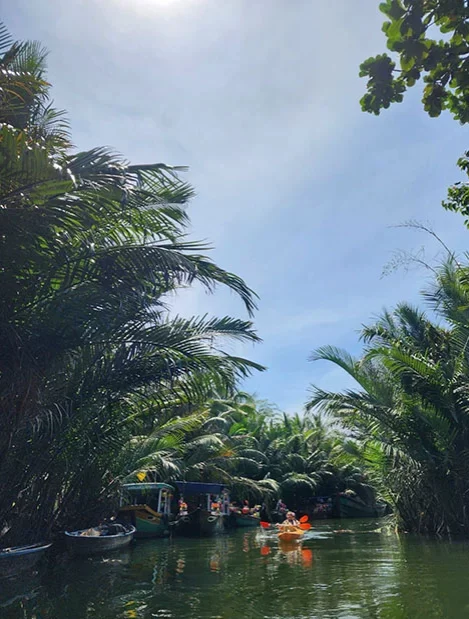 Rowing through the coco palm forest on a clear day