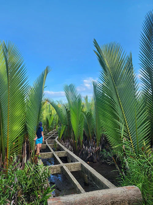 A girl exploring the coco palm forest as she takes a break from rowing