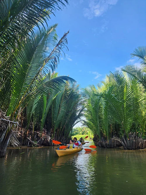 Group of kayakers entering the coco palm forest