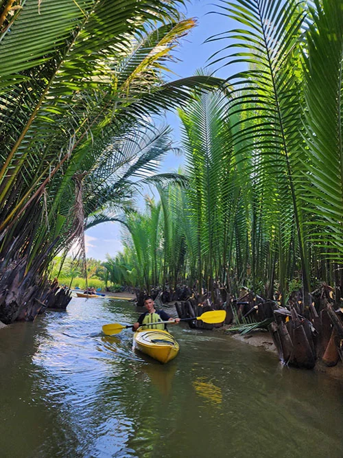 A kayaker observing the palm forest as he rows through it