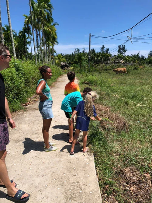 Sunset cycle tour visitors stop by the fields with their kids to see the cows