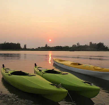 Rental kayaks at Sunset